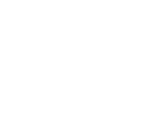footer-logo