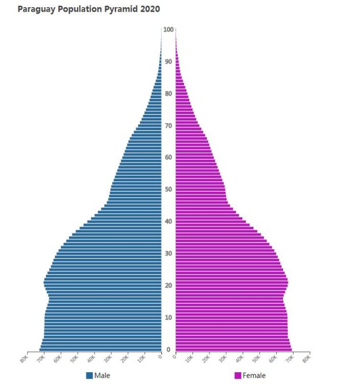 Paraguay Population Pyramid 2020